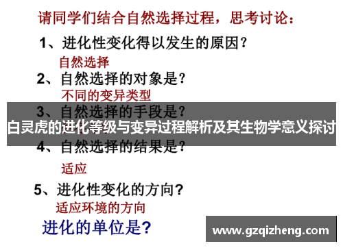 白灵虎的进化等级与变异过程解析及其生物学意义探讨