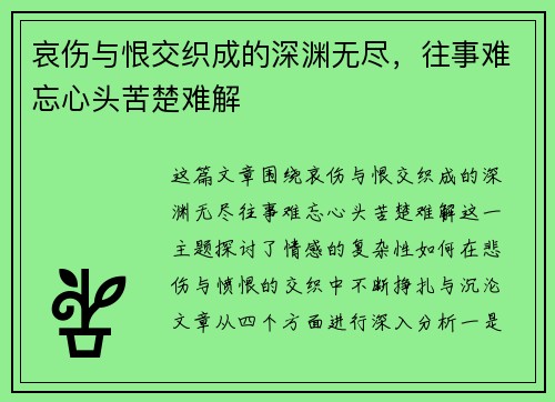 哀伤与恨交织成的深渊无尽，往事难忘心头苦楚难解